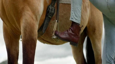 A man getting on a brown horse Stock Footage 200862940