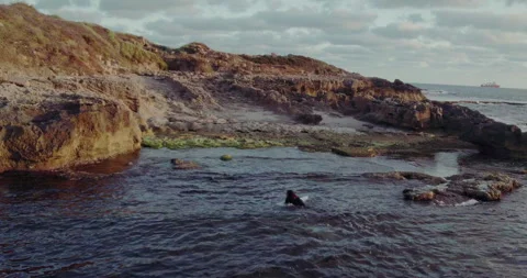 Man getting out of the ocean with his surfboard aerial Stock Footage 275513664