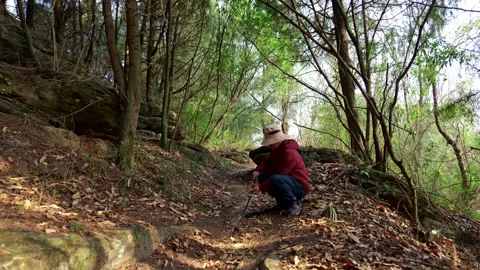 A man getting ready to hike in the forest is assembling foldable trekking poles. Stock Footage 329549525