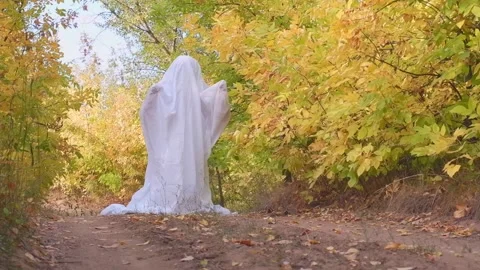 A man in a ghost costume in the autumn forest celebrates halloween in the Stock Footage 161185015