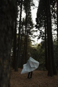 Man in a ghost costume dancing in the forest Stock Photos