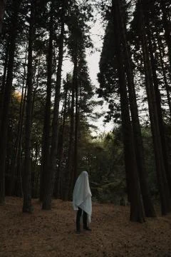 Man in a ghost costume in the forest Stock Photos