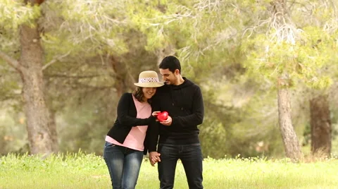 Man giving a heart shape to his girlfriend in the park Stock Footage 62259360