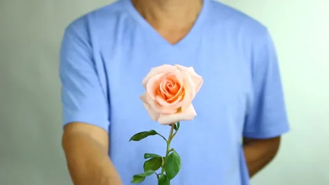 Man giving rose to someone , in studio Chiangmai  Thailand Stock Footage 145788943