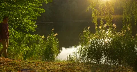 Man in Glasses With Backpack Comes to Lake Bank Forest Lake Man is Standing Stock Footage 55504232