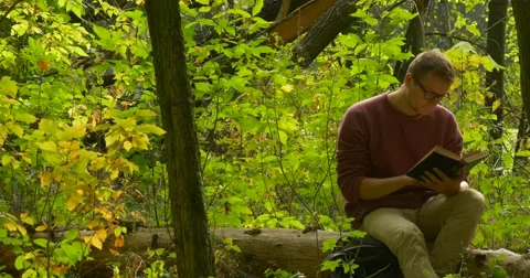 Man in Glasses is Sitting on The Fallen Tree Trunk and Reading a Book Man Has Stock Footage 56065421