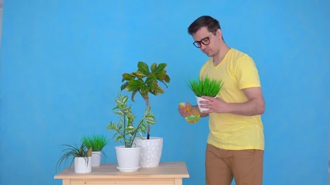 Man with glasses sprays plants on the table at home,looking at the camera Stock-Footage 107108670