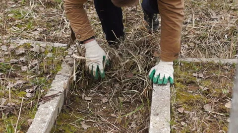 Man in gloves cleans a dry grass and leaves at the cemetery Stockbeeldmateriaal 63158431