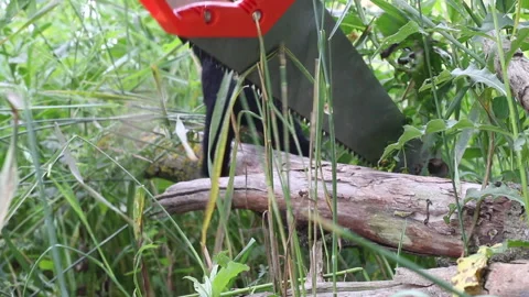 A man in gloves saws a hacksaw tree lying on the grass. Harvesting firewood f Stock Footage 134974548