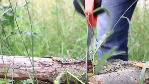 A man in gloves saws a hacksaw tree lying on the grass. Harvesting firewood f Stock Footage 134974582