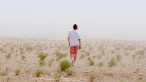 Man goes across the steppe into a dusty cloud. Back view. Concept of loneliness Vidéo 241219086