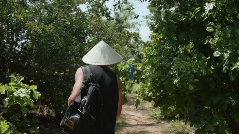 Man goes among the trees Video stock 73353848