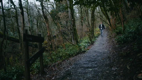 Man goes down the forest trail, traveller in the forest Stock Footage 147725581