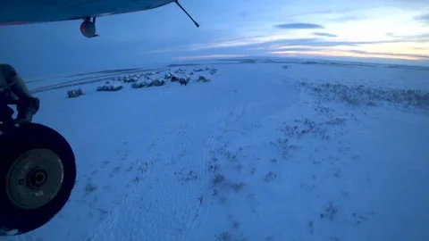 Man goes to the helicopter Stock Footage 100175484