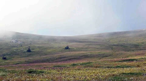 The man goes, leaving, on a grass among a fog Stock Footage