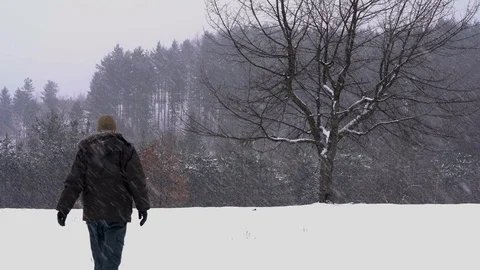Man goes to a lone tree in falling snow Stock Footage 111587986