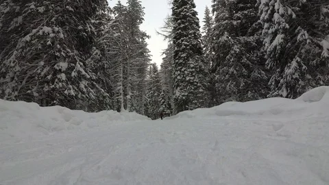 Man Goes On the Road in the Winter Forest Snowfall In the Mountains Stock Footage 101637830