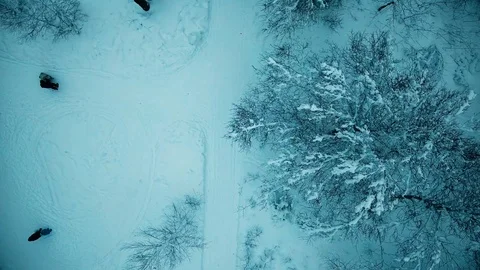 Man goes skiing skating Stock Footage 101179376