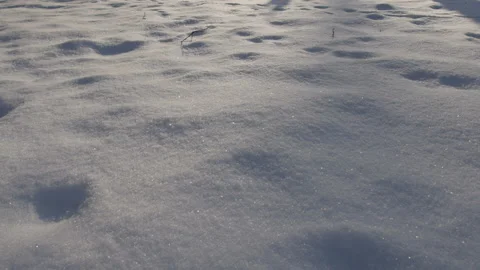 Man Goes Through The Snow. Winter Landscape.  Stock Footage 122987253