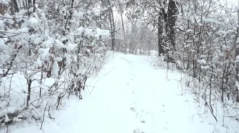 Man goes through snowy forest  Stock Footage 59938770