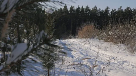 The man goes to the winter woods Stock Footage 72162273