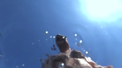 Man with goggles on head looking down, chest hair visible, against clear blue Stockbeeldmateriaal 339793936