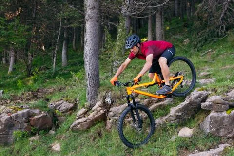 Man going down rocks in a forest on mountain bike Stock Photos