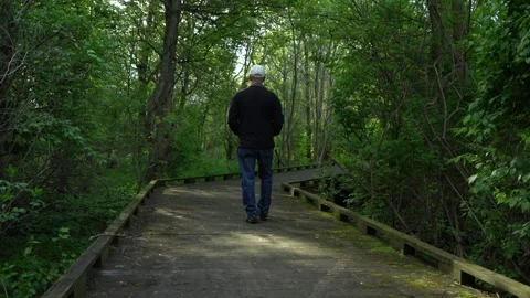 A man going for a morning walk in the forest Stock Footage 334228021