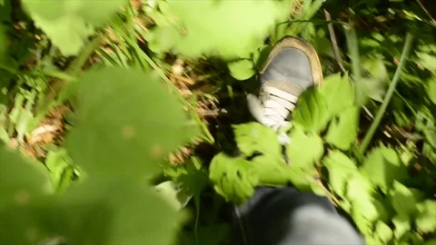 A man going through the forest (POV slow motion) 動画素材 89023084