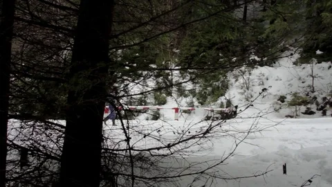 Man going through pine forest on a road covered with snow Stock Footage 71339415