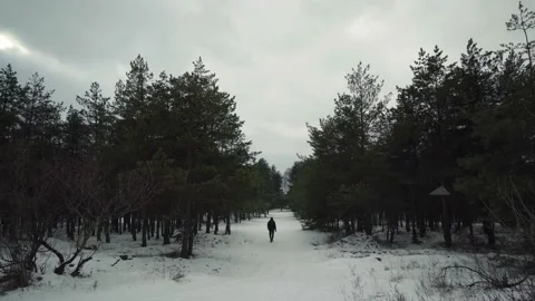 Man going in trail in the winter forest Stock Footage 199486113