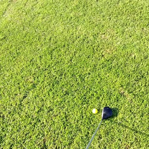 Man Golfing POV 10 Stock Footage 236259808