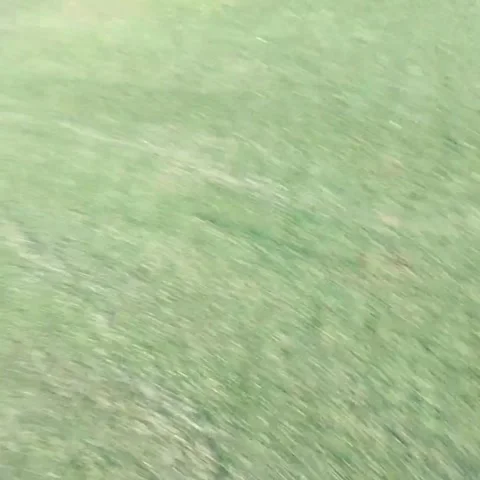 Man Golfing POV 7 Stock Footage 236259705