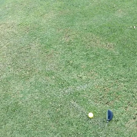 Man Golfing POV 8 Stock Footage 236259789