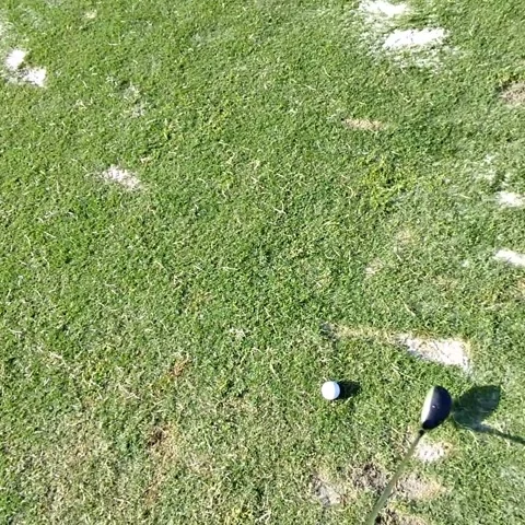 Man Golfing POV 9 Stock Footage 236259795