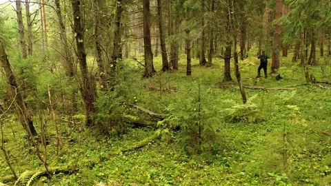 Man got lost in the forest. Survival in the forest. Stock Footage 117103485