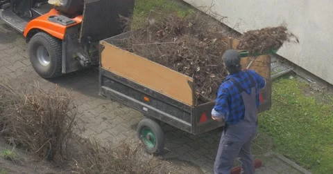 Man Grabs a Branches of Plants With Help Shovel Stock Footage 61898559