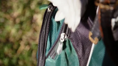 Man grabs golf balls from golf bag Stock Footage 77769711