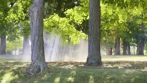 Man on grass mowing machine trimming grass Stock Footage 273181373
