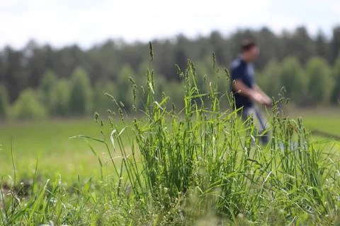 Man grass 库存照片