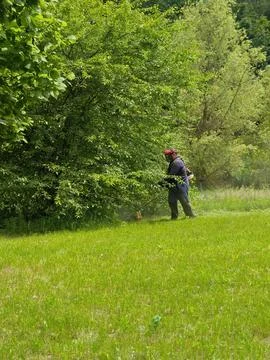 Man with a grass trimmer Foto stock