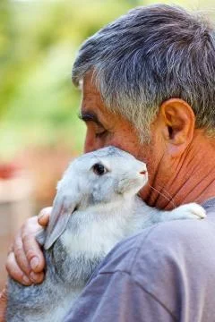 Man with gray rabbit Stock Photos