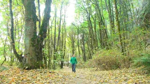 Man in Green Forest Walking Up Path Stock Footage 12144817
