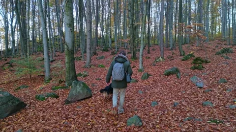 A man in a green jacket and his German Shepherd embrace the crisp air and v.. Stock-Footage 255767336
