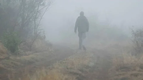 A man in a green jacket is walking on the forest rural  road in thick foggy weat Stock Footage 232399186