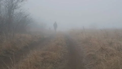 A man in a green jacket is walking on the forest rural  road in thick foggy weat Stock Footage 232399742