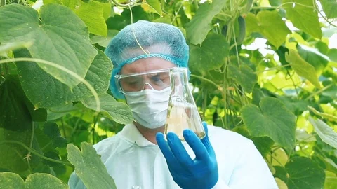 A man in a greenhouse a chemist takes a sample of water Stock Footage 112933948