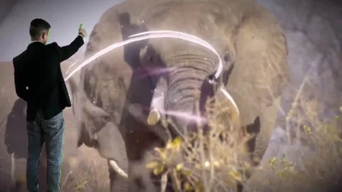 Man Greets an Elephant Stock Footage 313807780