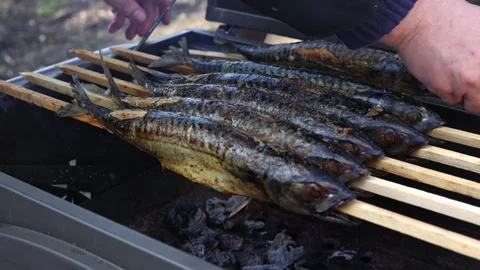 Man grilling fresh mackerel fish on the grill with coal, grilled mackerel fish 库存影片 265163720