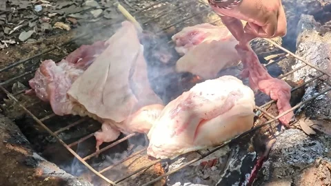 Man Grilling Raw Meat Over Open Fire in Outdoor Cooking Footage Stock Footage 322869720
